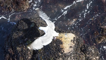 September 2013 - Northern California